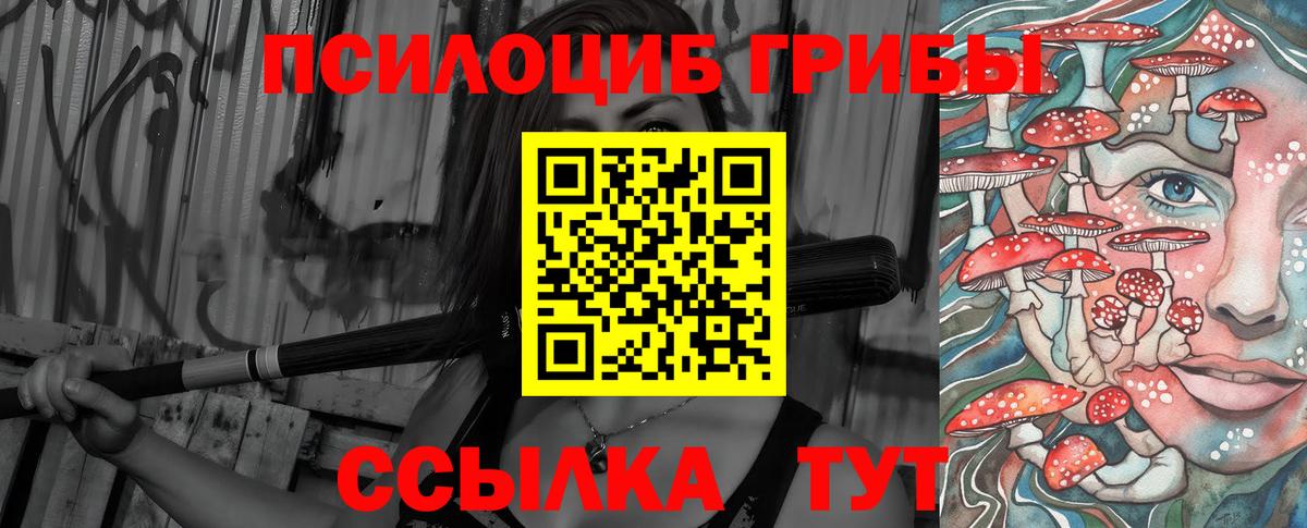 Псилоцибиновые грибы GOLDEN TEACHER  Вход с VPN  Галлюциногенные грибы мицелий  Лыткарино 