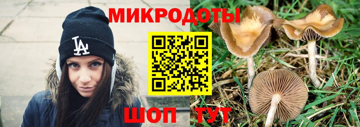 Псилоцибиновые грибы Psilocybine cubensis Лыткарино